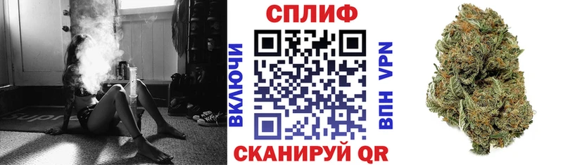 Каннабис планчик  Пудож 